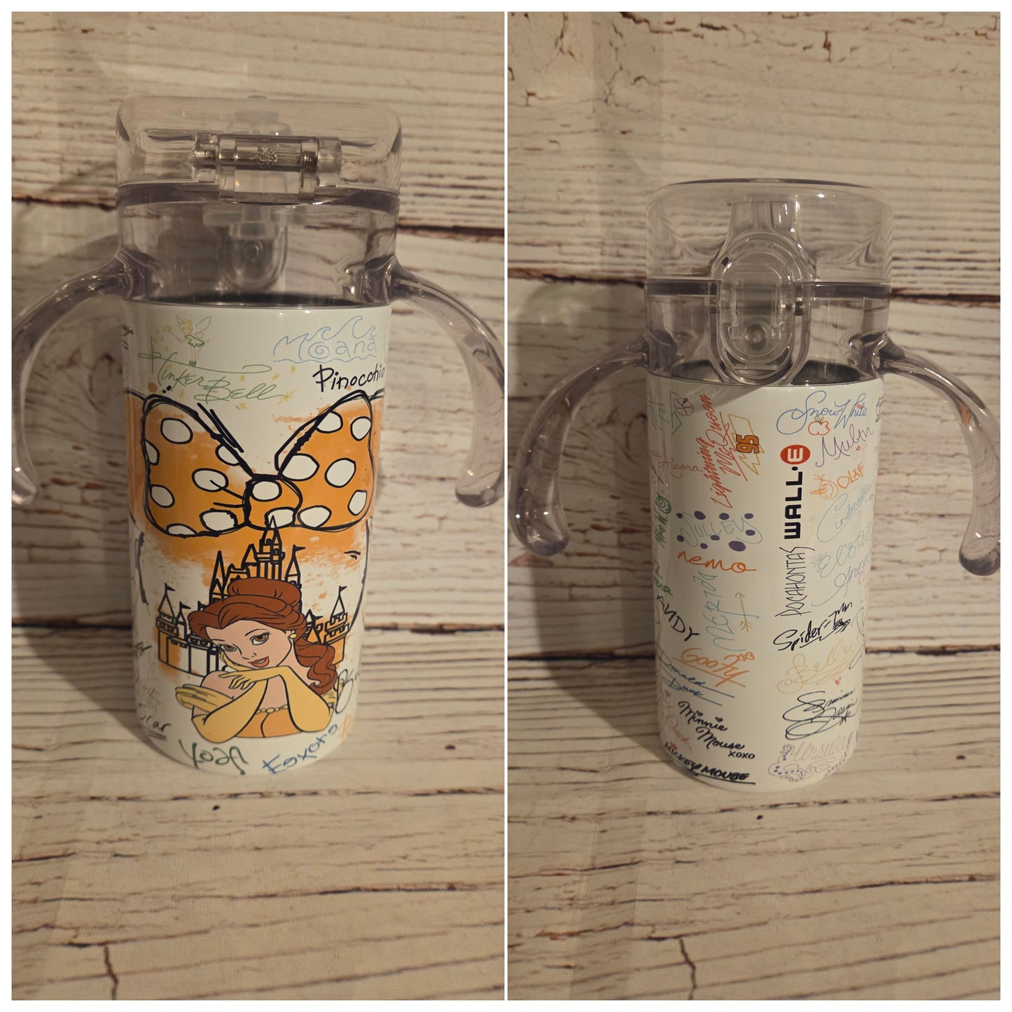 Disney Princess Tumblers