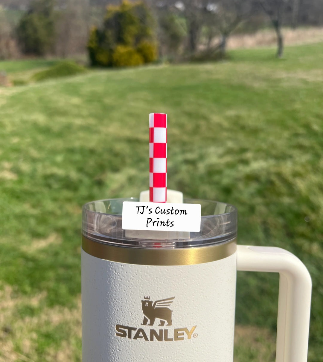 40 Oz Tumbler Straws