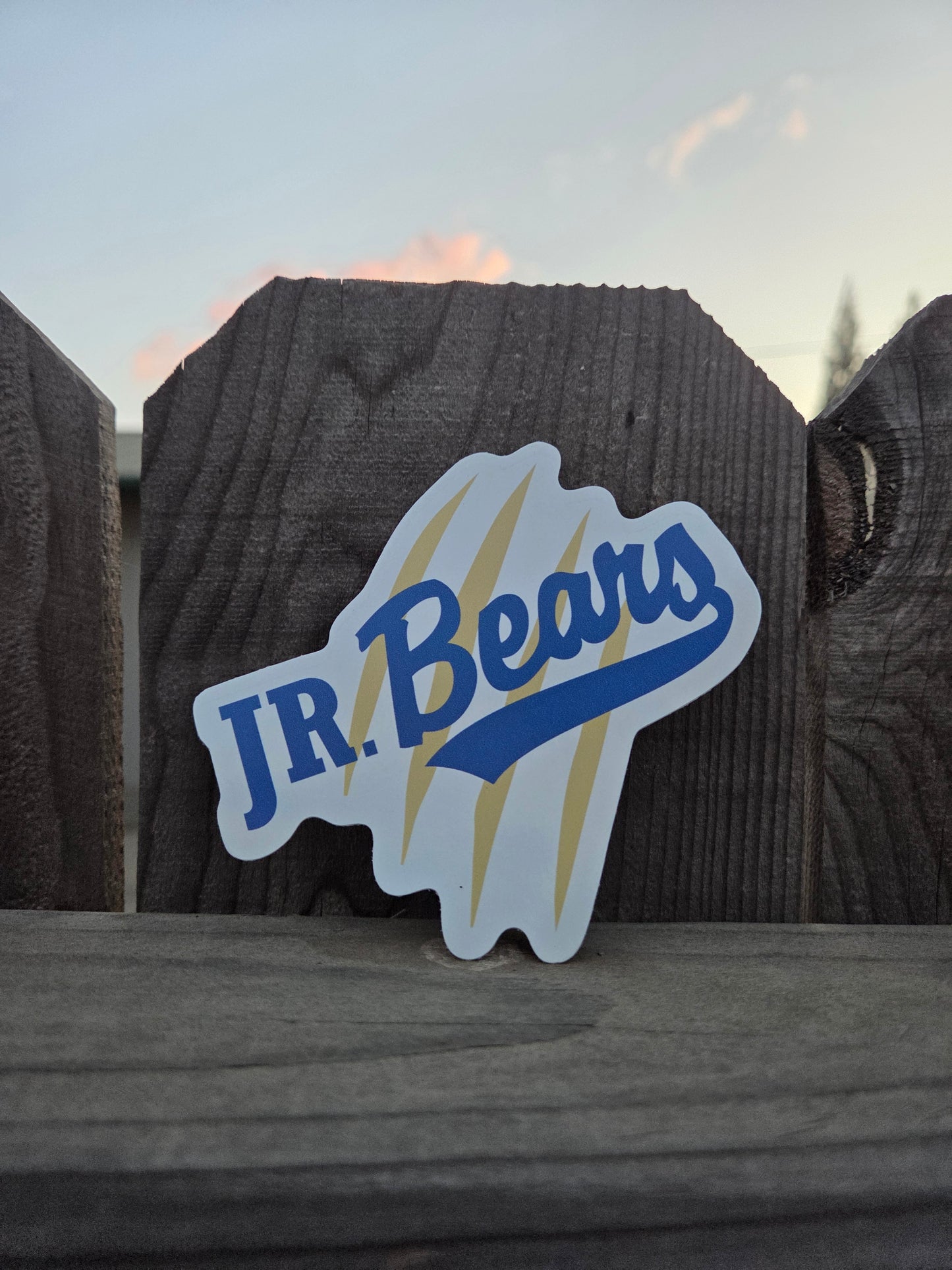 Jr Bears & Bears Stickers