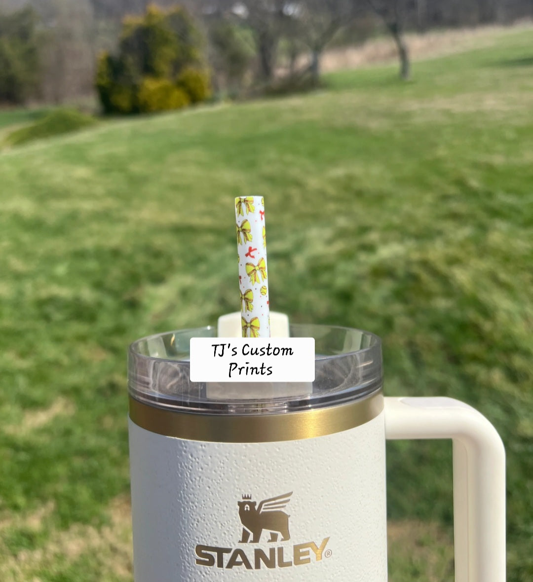 40 Oz Tumbler Straws