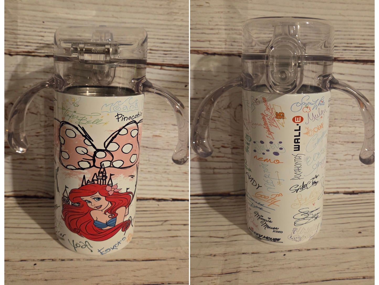 Disney Princess Tumblers