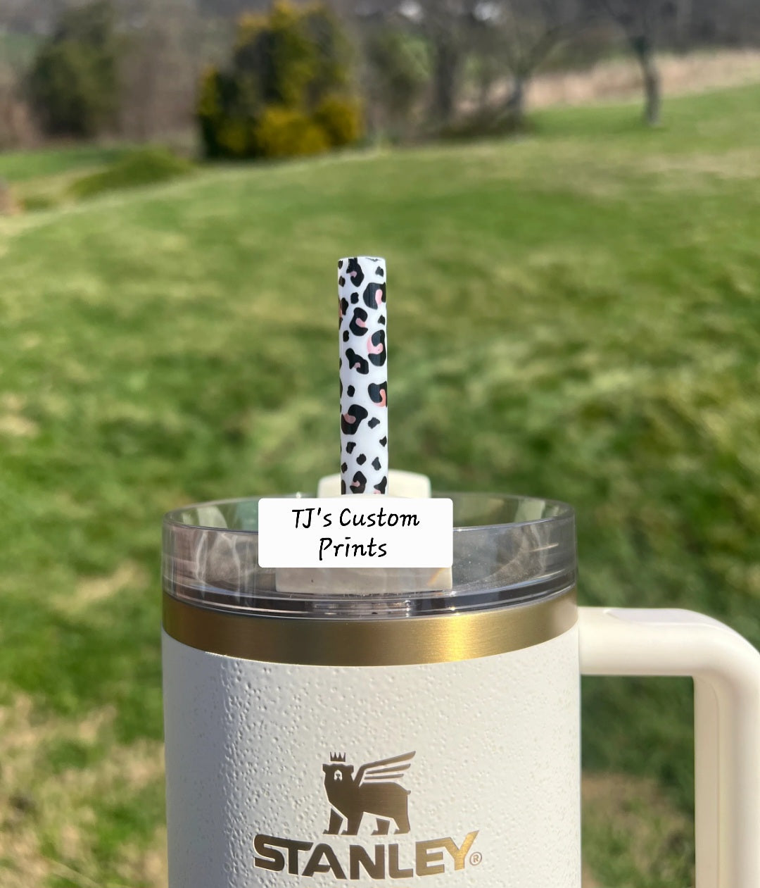 40 Oz Tumbler Straws