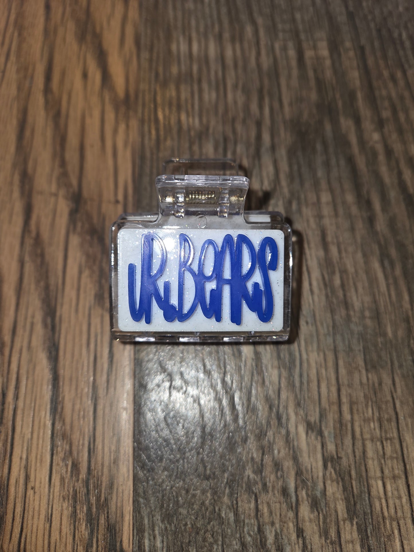 Jr Bears & Bears Small Claw Clips School Spirit